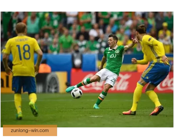 尊龙体育直播入口全新体验指南带你畅享高清赛事直播与互动服务